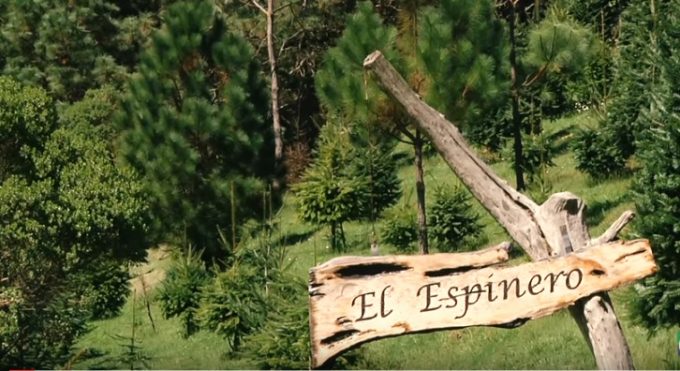 Finca El Espinero, un lugar donde se respira la Navidad
