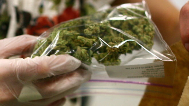 Florida Medical Marihuana
