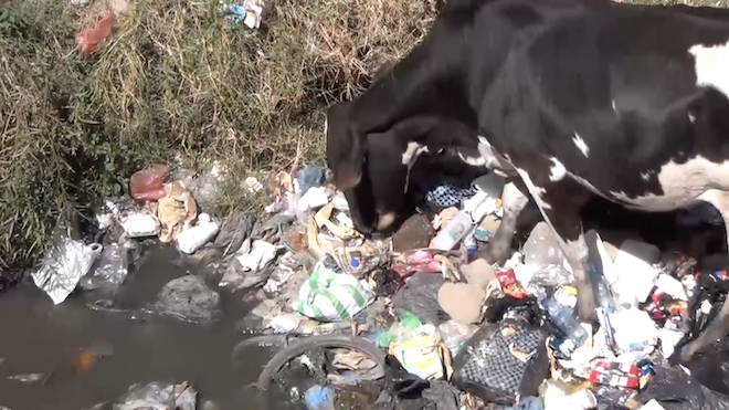 La basura, un problema que afecta el ornato y la salud en Huehuetenango