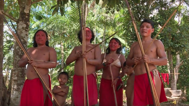 tribu