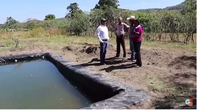 supervisan proyecto