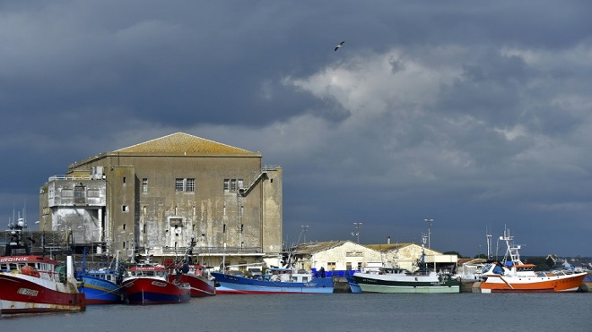 El Parlamento europeo demanda prohibir la pesca eléctrica