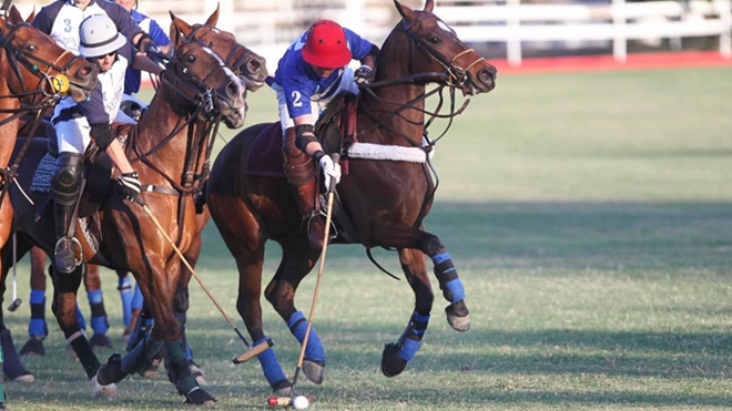 Polo-Norwin