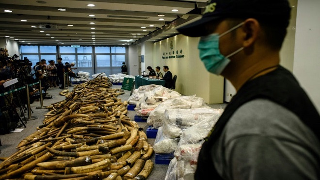 Hong Kong prohíbe la venta de marfil
