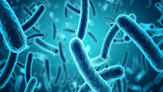 ¿Cuánto tiempo permanecen las bacterias de un estornudo en el aire?