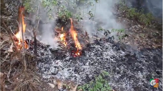 Pobladores preocupados por incendios forestales en Sololá