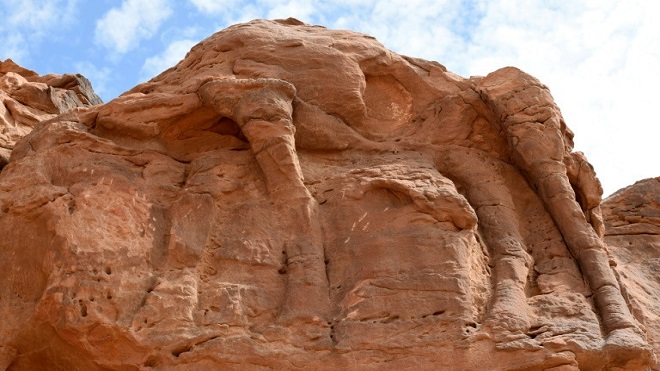 El misterio de las esculturas de camellos en el desierto saudí