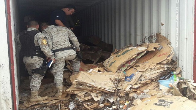 Decomisan contenedores con madera en peligro de extinción