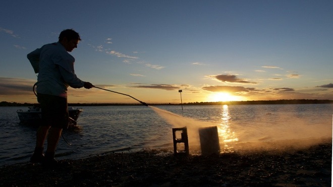 Los arrecifes de moluscos australianos, un desastre ecológico desconocido