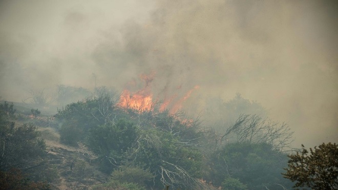 Avance de incendios forestales mantiene en vilo al sur de Chile
