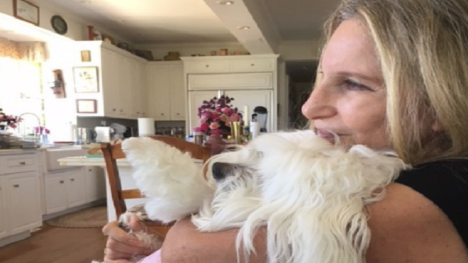 Barbara Streisand clonó (dos veces) a su perrita fallecida