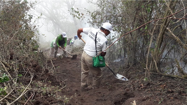 Guatemala y México combaten incendio forestal en volcán Tacaná