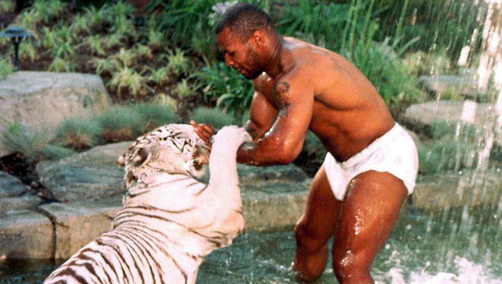 Myke Tyson revela qué lo obligó a vender a su tigre de bengala