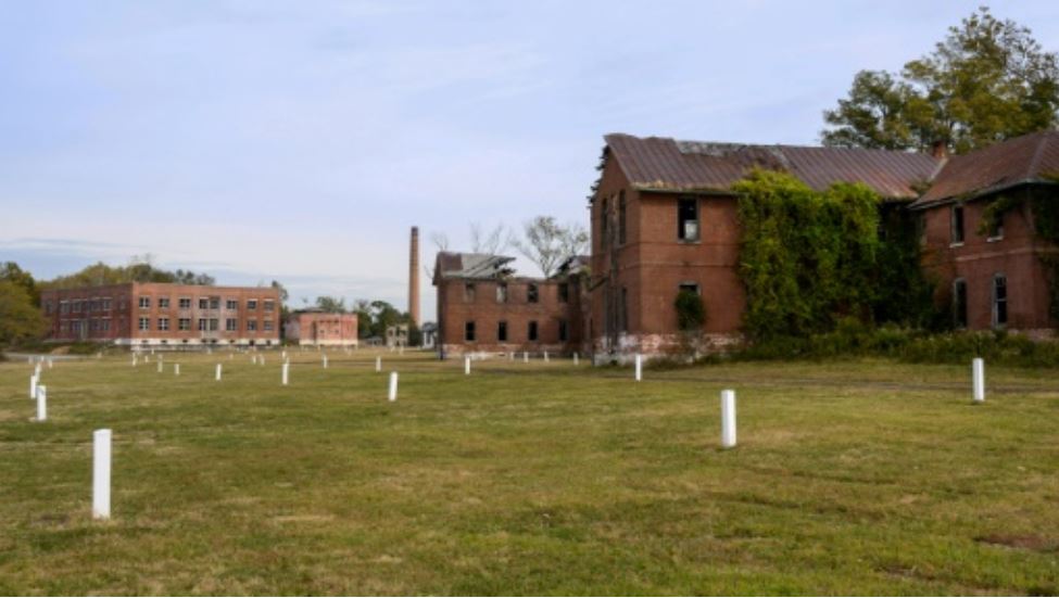 La “isla de los muertos”, el cementerio más grande de Nueva York para pobres da la bienvenida a los vivos