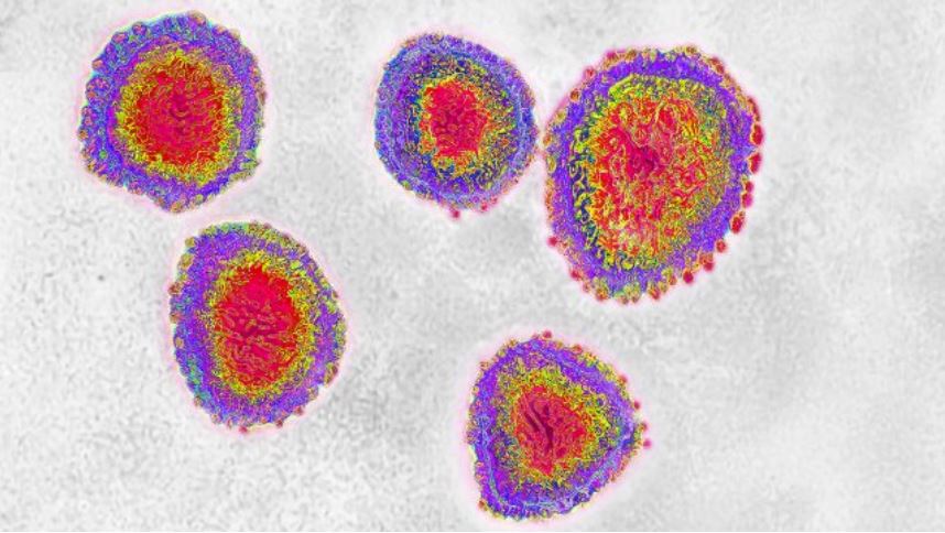 Detectan el primer contagiado por el virus de Wuhan en Estados Unidos y la alerta se extiende