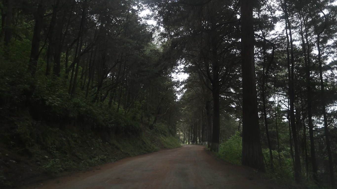 Hombre abusaba de mujeres en el cerro El Baúl y ahora fue condenado a 26 años de prisión