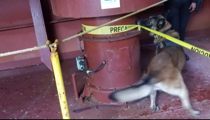 Encuentran cocaína en barco procedente de Honduras