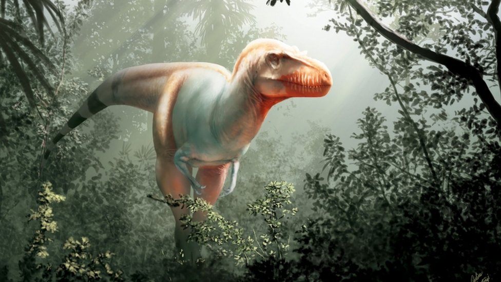Cómo era el “segador de la muerte”, una nueva especie de dinosaurio que vivió antes que el Tyrannosaurus rex