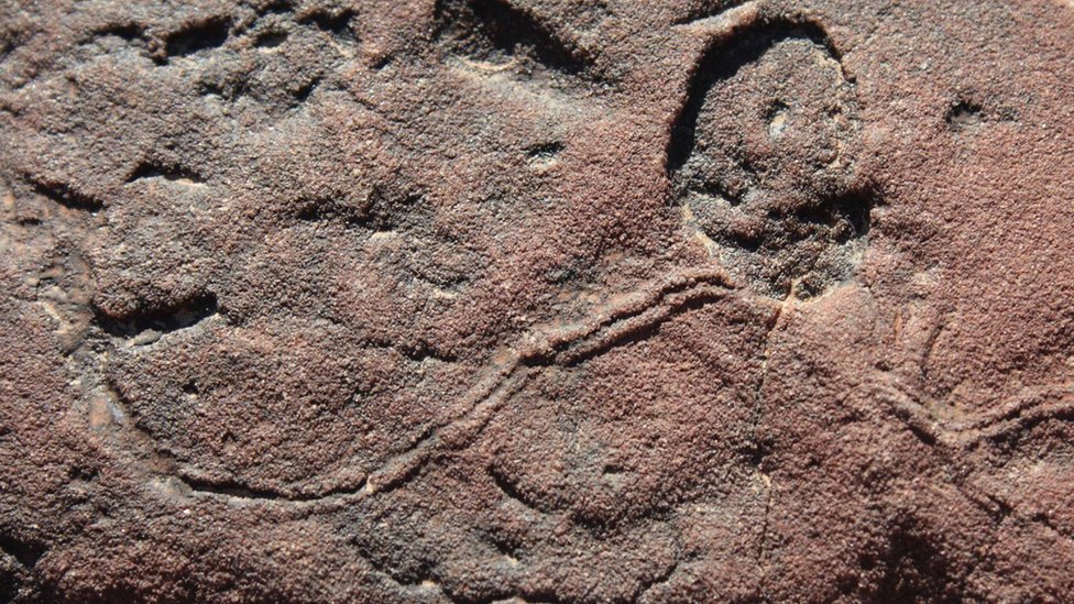 Cómo eran las extrañas primeras criaturas que habitaron la Tierra (y por qué se extinguieron)