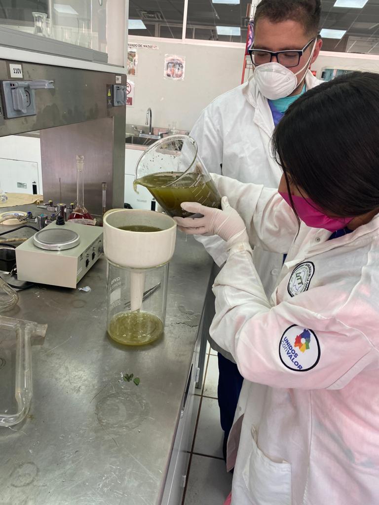 Coronavirus: el gel antibacterial creado con plantas por estudiantes