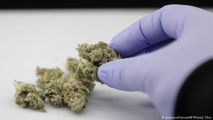 ¿Puede proteger el cannabis contra el coronavirus?