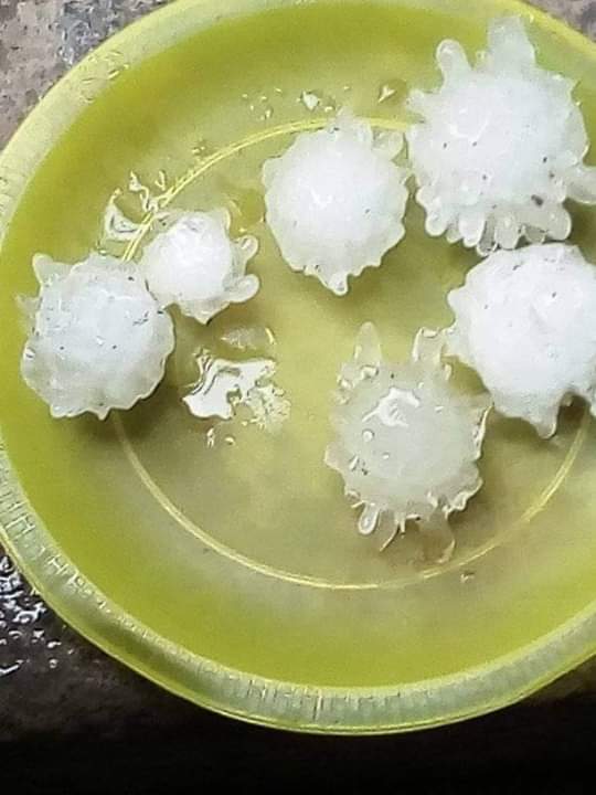 ¿Granizo en forma de coronavirus? Las imágenes que se volvieron virales en México