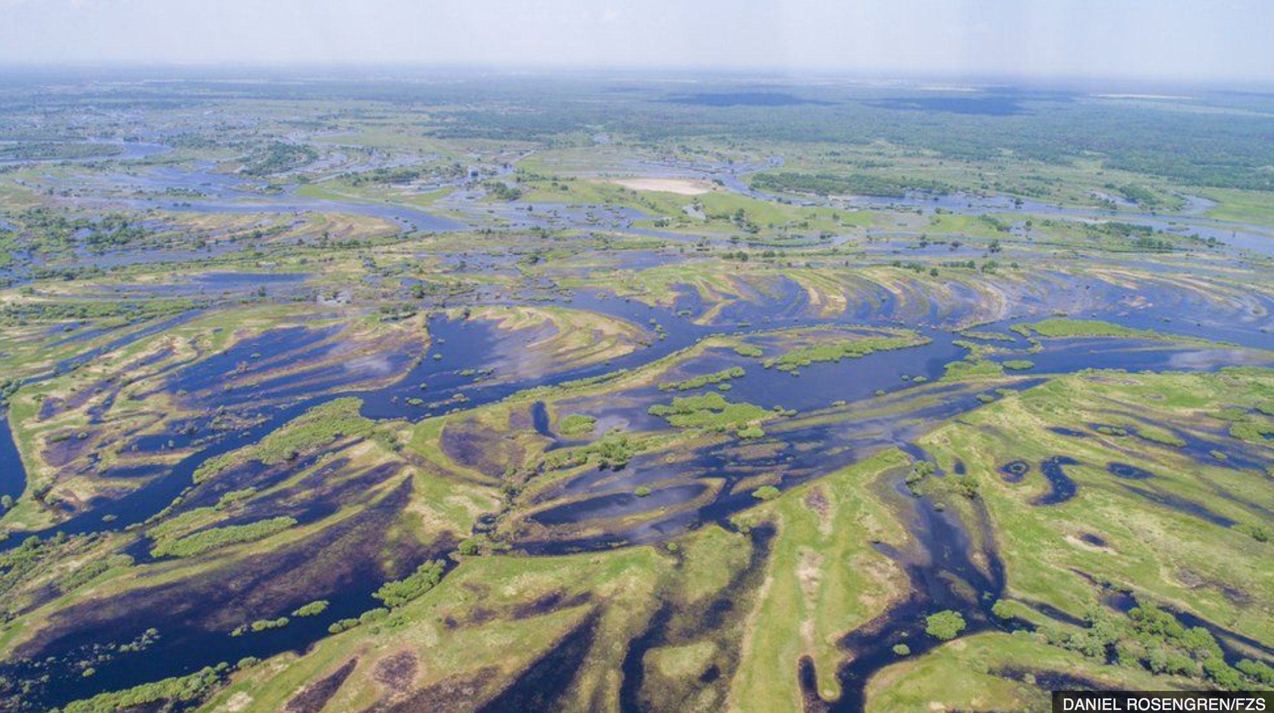 Chernobyl: cómo es Polesia, la “Amazonía” de Europa amenazada por el fantasma del accidente nuclear