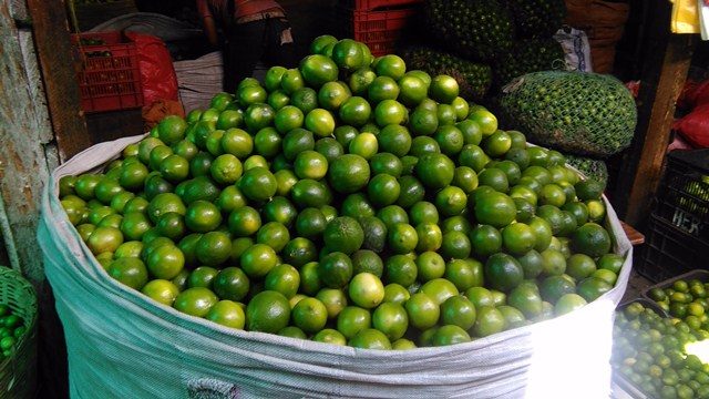 Limones y jengibre: los “remedios” contra el coronavirus que el presidente tanzano sugiere