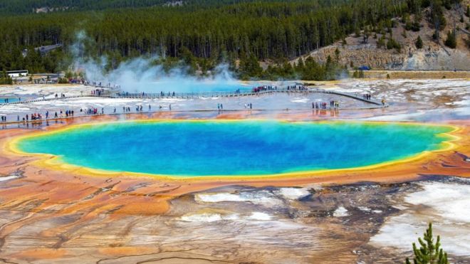 Coronavirus: el descubrimiento en los manantiales termales de Yellowstone que fue clave para hacer los tests del covid-19