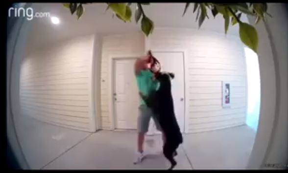 VIDEO: un hombre intenta ahorcar al perro de su expareja luego de una pelea