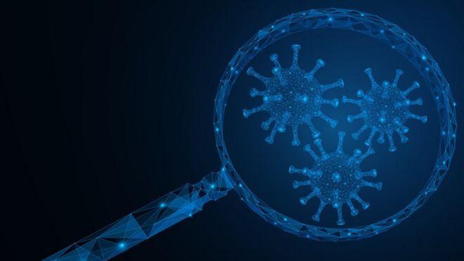 “Estaríamos acabados sin ellos”: cómo sería el mundo si desaparecieran los virus