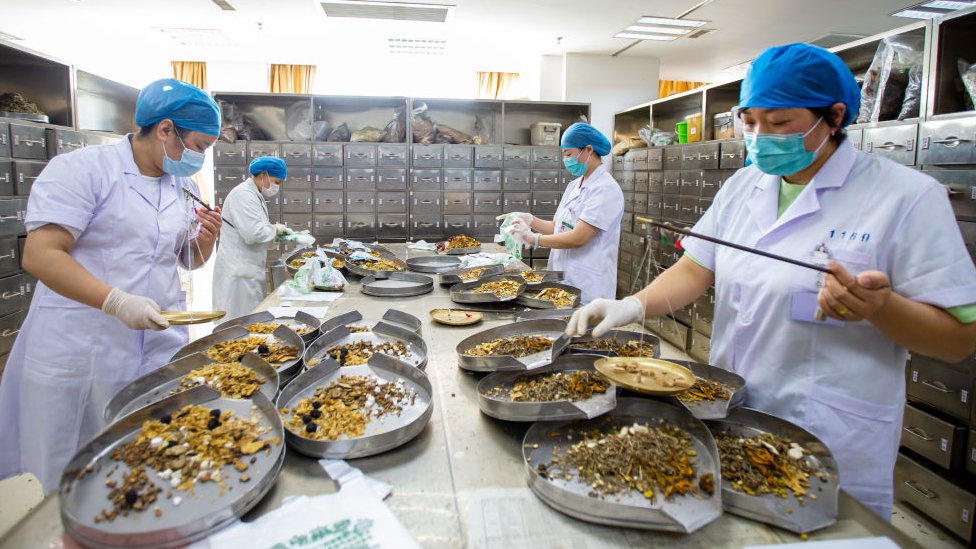 Coronavirus: cómo China está impulsando el uso de su medicina tradicional ante la pandemia (y qué se sabe de su eficacia)