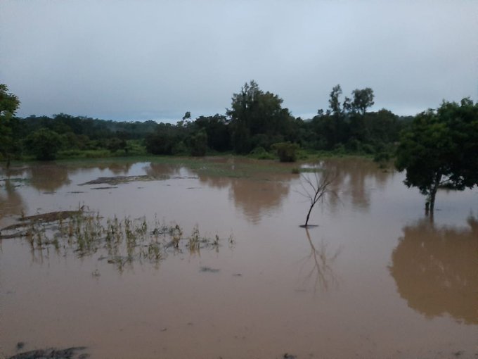 Fotos: Río se desborda por las lluvias y daña cultivos en Quiché