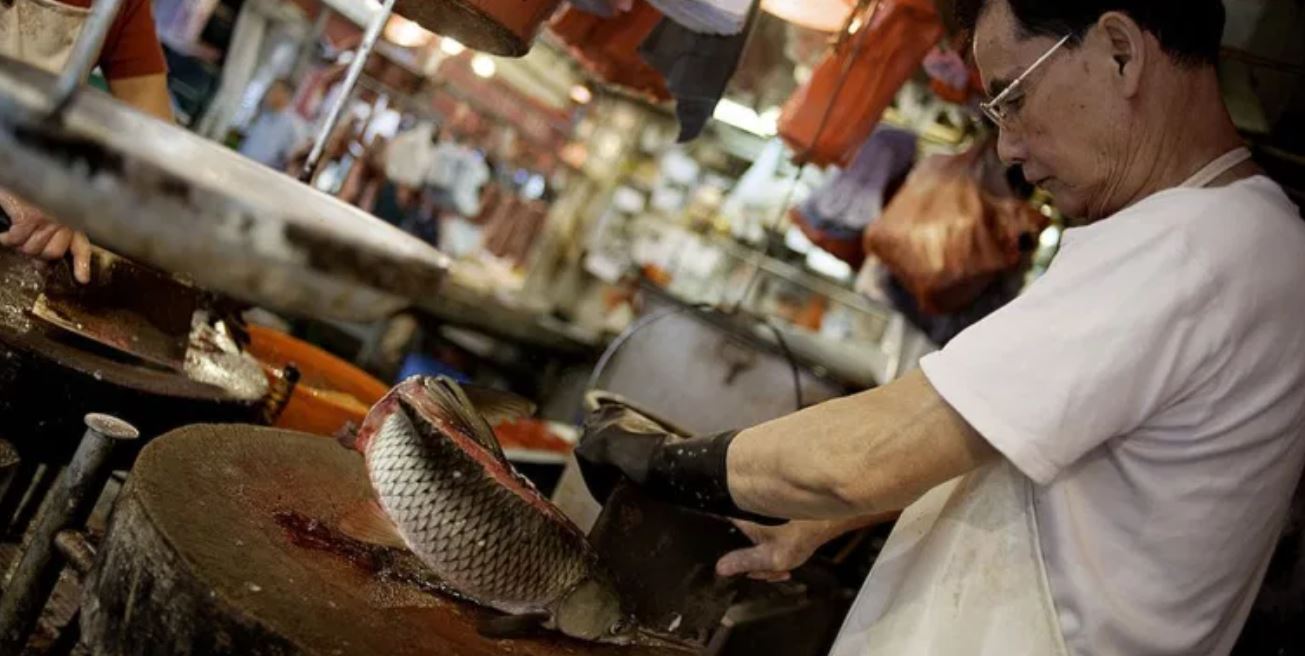 Qué tiene que ver el coronavirus con la decisión de China de dejar de importar salmón (y cómo afecta la medida a Chile)