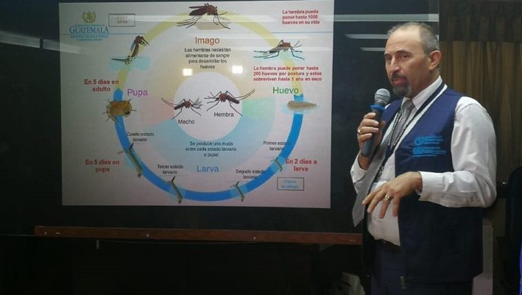 Coronavirus: Jefe de epidemiología renuncia y señala que Salud oculta cifra real de fallecidos