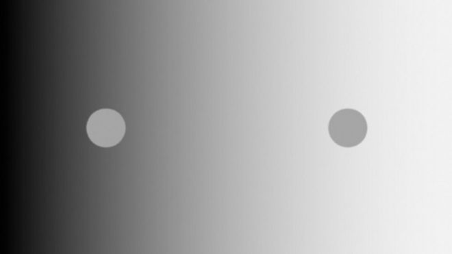 ¿iguales o diferentes? el misterio de la ilusión óptica que tardó cien años en resolverse