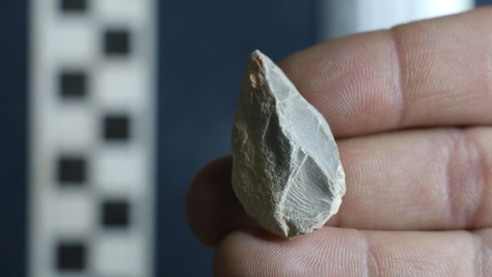Cueva del Chiquihuite: el hallazgo en México que apunta a la presencia de humanos en América desde hace 30.000 años, el doble de lo estimado hasta ahora