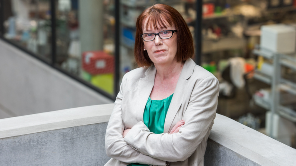 Vacuna contra la covid-19: quién es Sarah Gilbert, la científica que lidera el “prometedor” ensayo de la Universidad de Oxford (y cómo sus trillizos la están ayudando)