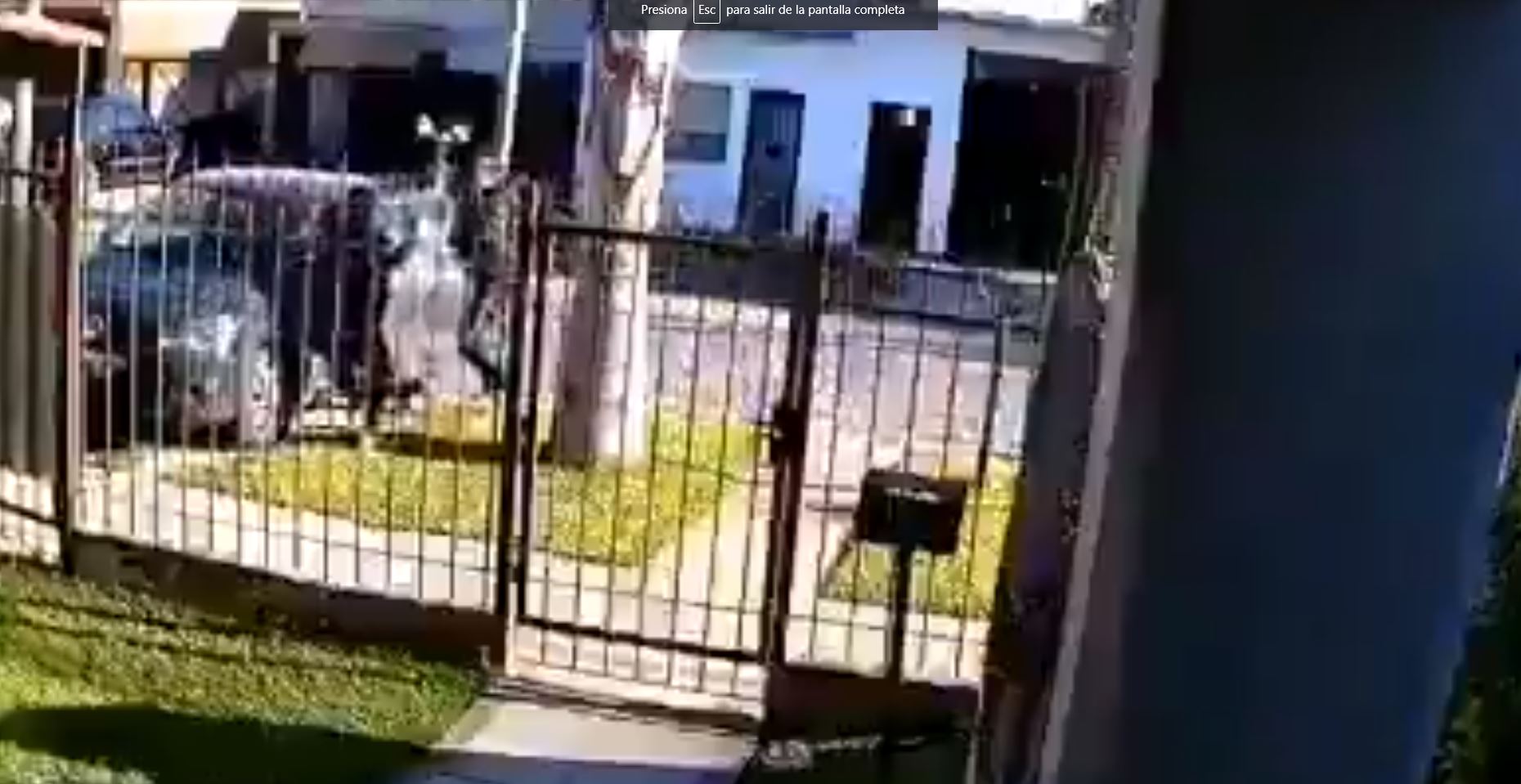VIDEO: asaltantes se llevan el carro de una mujer con todo y su pequeño hijo a bordo