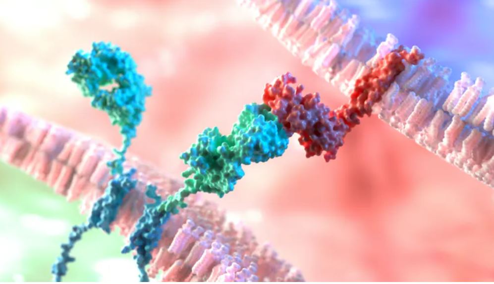 La investigación del cáncer nunca para (tampoco en la pandemia)