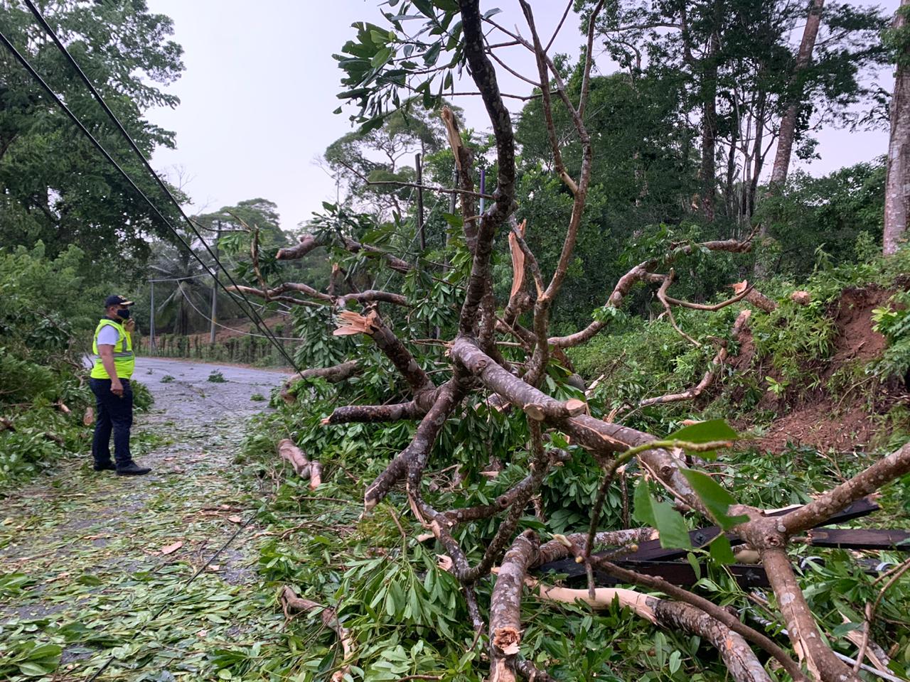 Imágenes que muestran los daños causados por la lluvia y el fuerte viento en Puerto Barrios