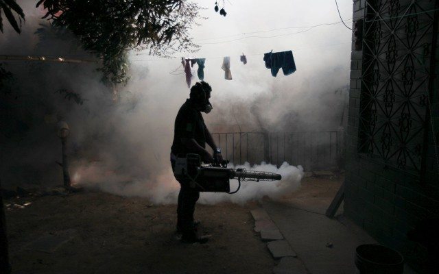 El mundo se olvidó de la peste negra, pero no la erradicó