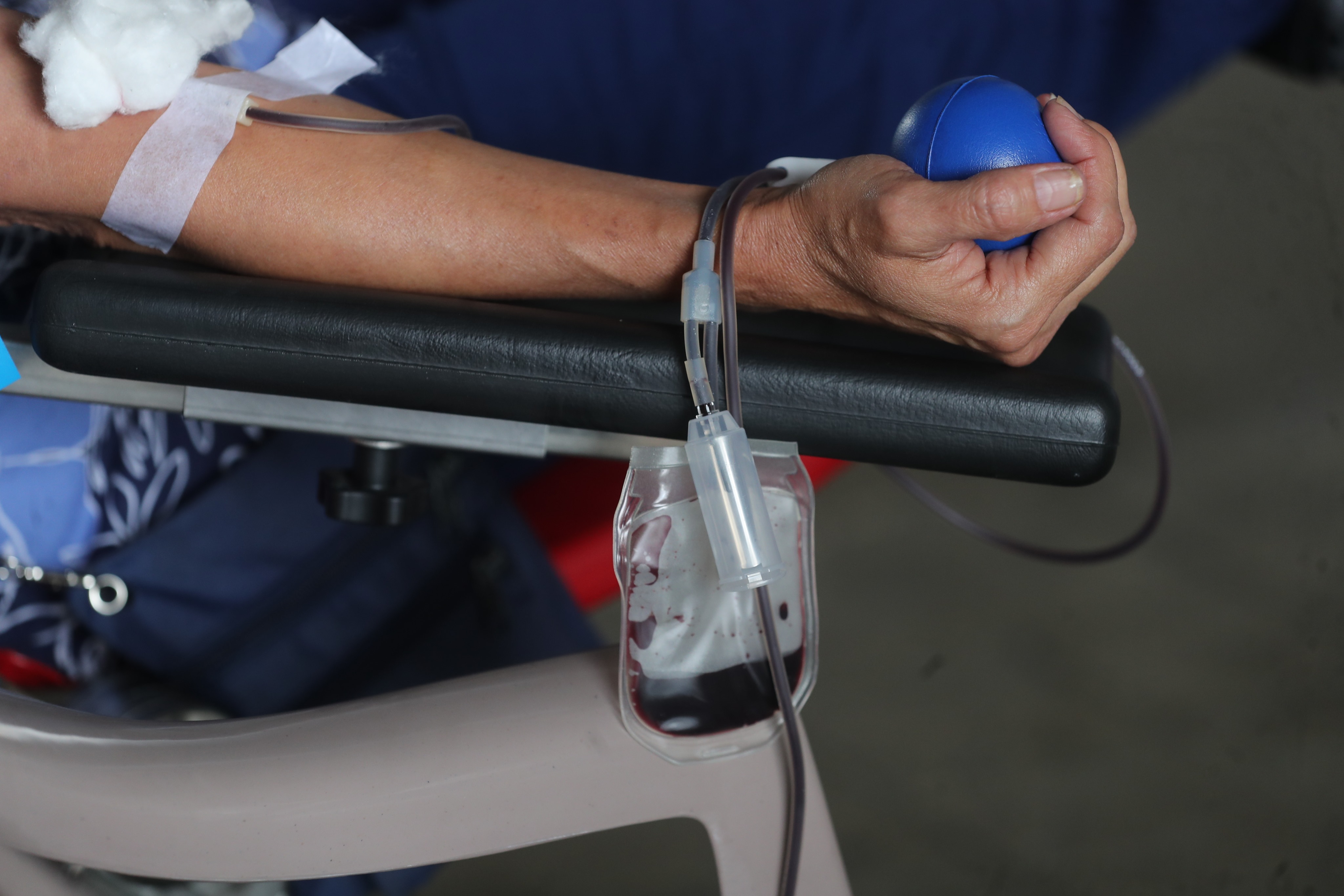 Esto se debe saber sobre cómo donar sangre para pacientes críticos de coronavirus