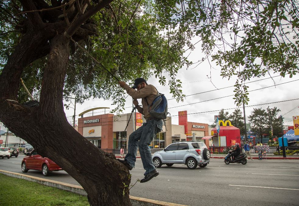 La esperanza del salvadoreño que vive en un árbol en la Ciudad de Guatemala