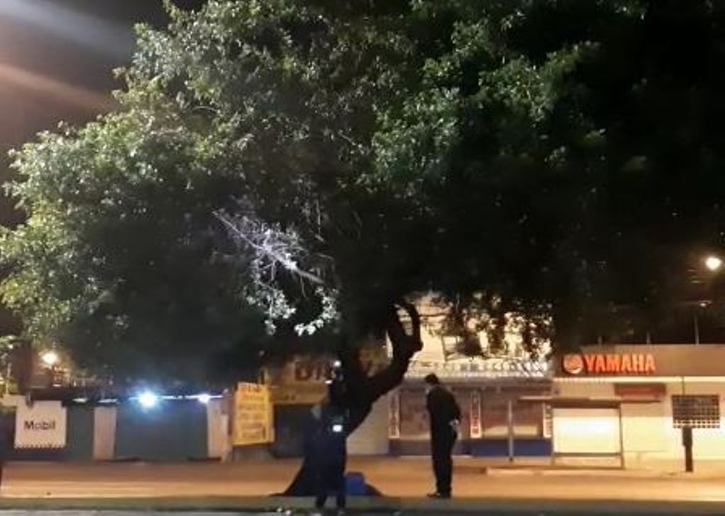 Queman la casa del árbol de Daniel Antonio Rosales en la calzada Roosevelt