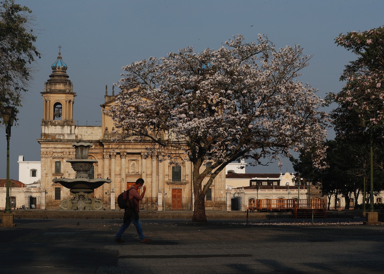 Oraciones de 10 minutos: la prueba que hizo Catedral Metropolitana y que marcaría el protocolo en la nueva normalidad por el coronavirus