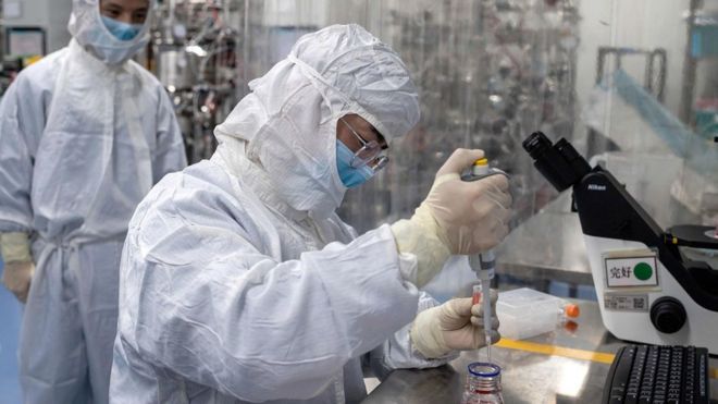 Inmunidad al coronavirus: ¿qué son las células T y de qué forma aportan inmunidad oculta contra la covid-19?