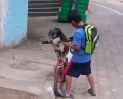 La tierna imagen de un niño ecuatoriano que le coloca mascarilla a su perro para protegerlo del coronavirus