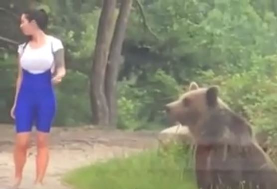 Video: Mujer intenta tomarse una selfie con un oso y casi termina en tragedia