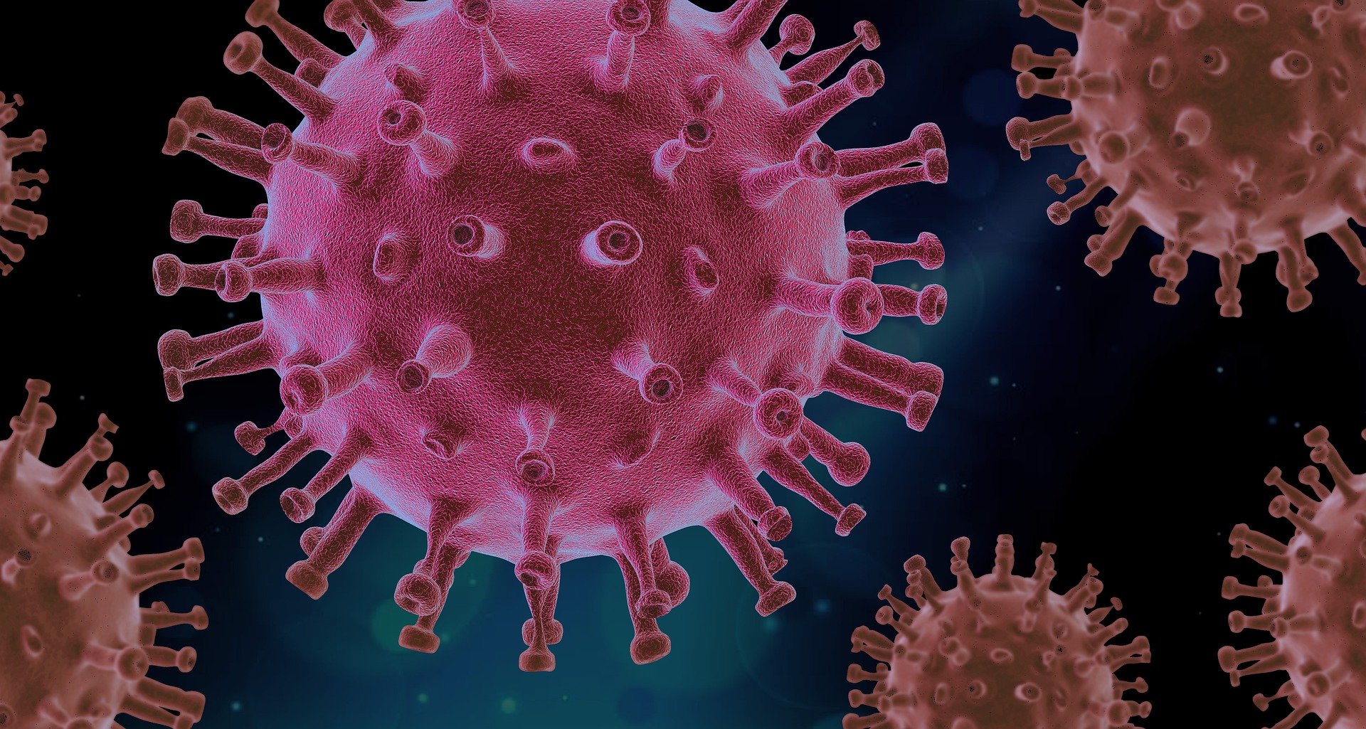 ¿La inmunidad contra el coronavirus desaparece? Estudio revela la situación